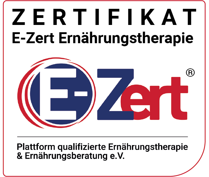 E-Zert Logo